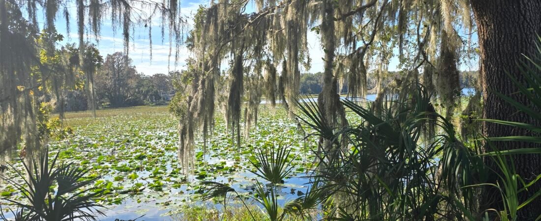 One Year in Florida: What Starting Over Really Taught Me