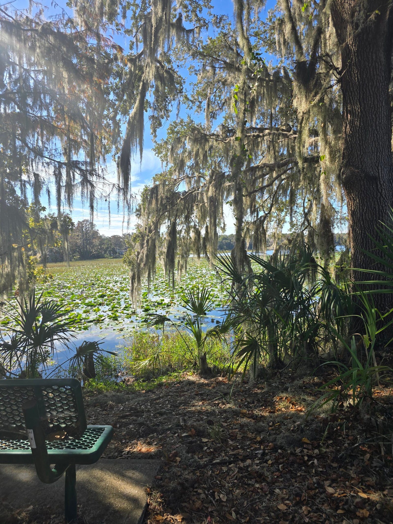 One Year in Florida: What Starting Over Really Taught Me