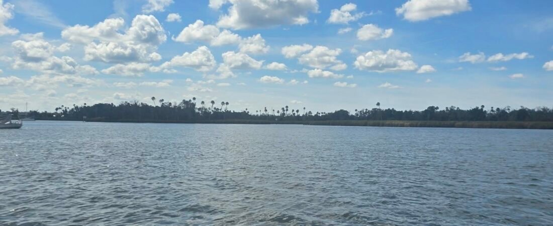 Starting Over at 45: My Road to Florida, Loss, and Finding Myself Again