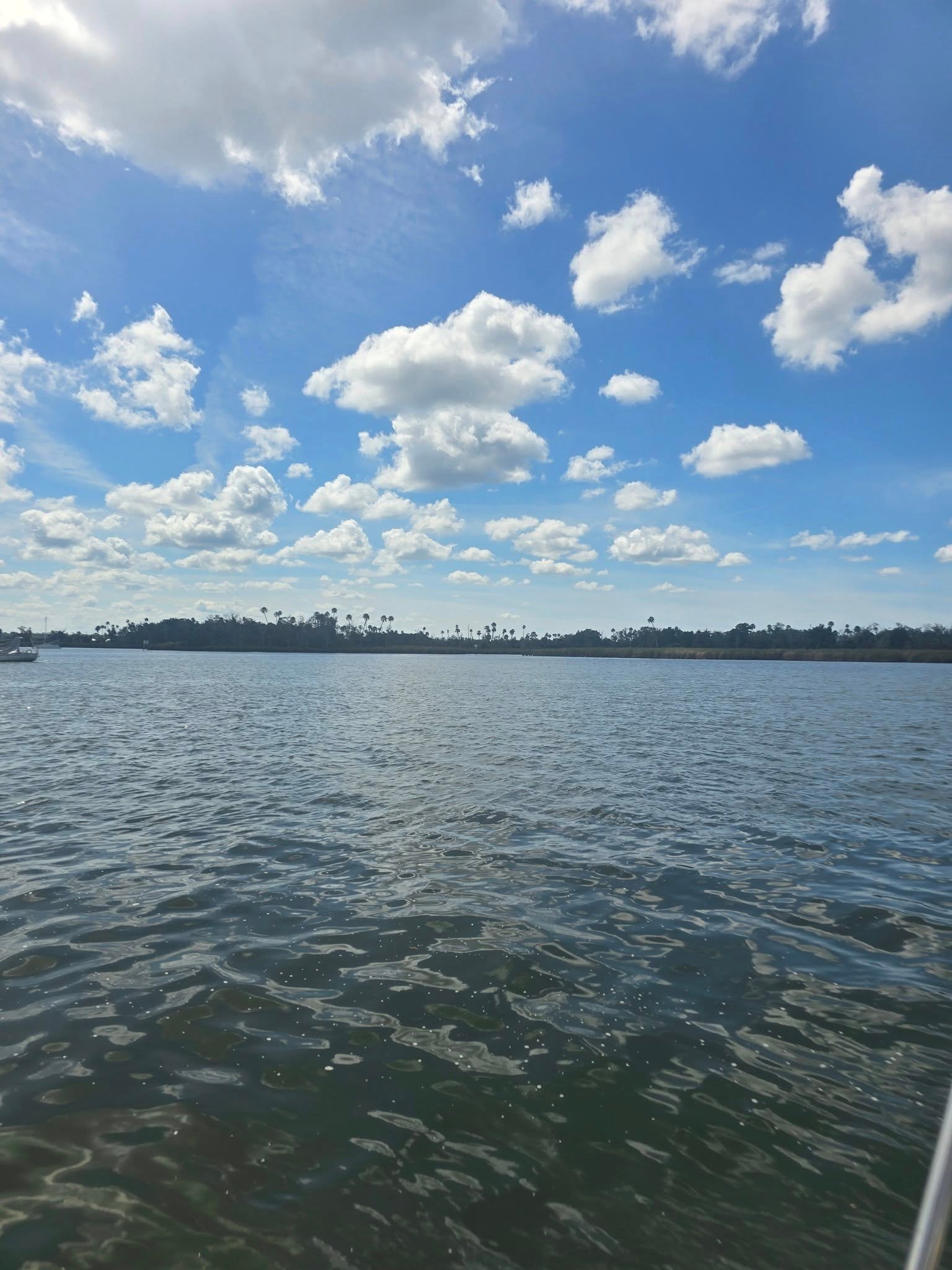 Starting Over at 45: My Road to Florida, Loss, and Finding Myself Again