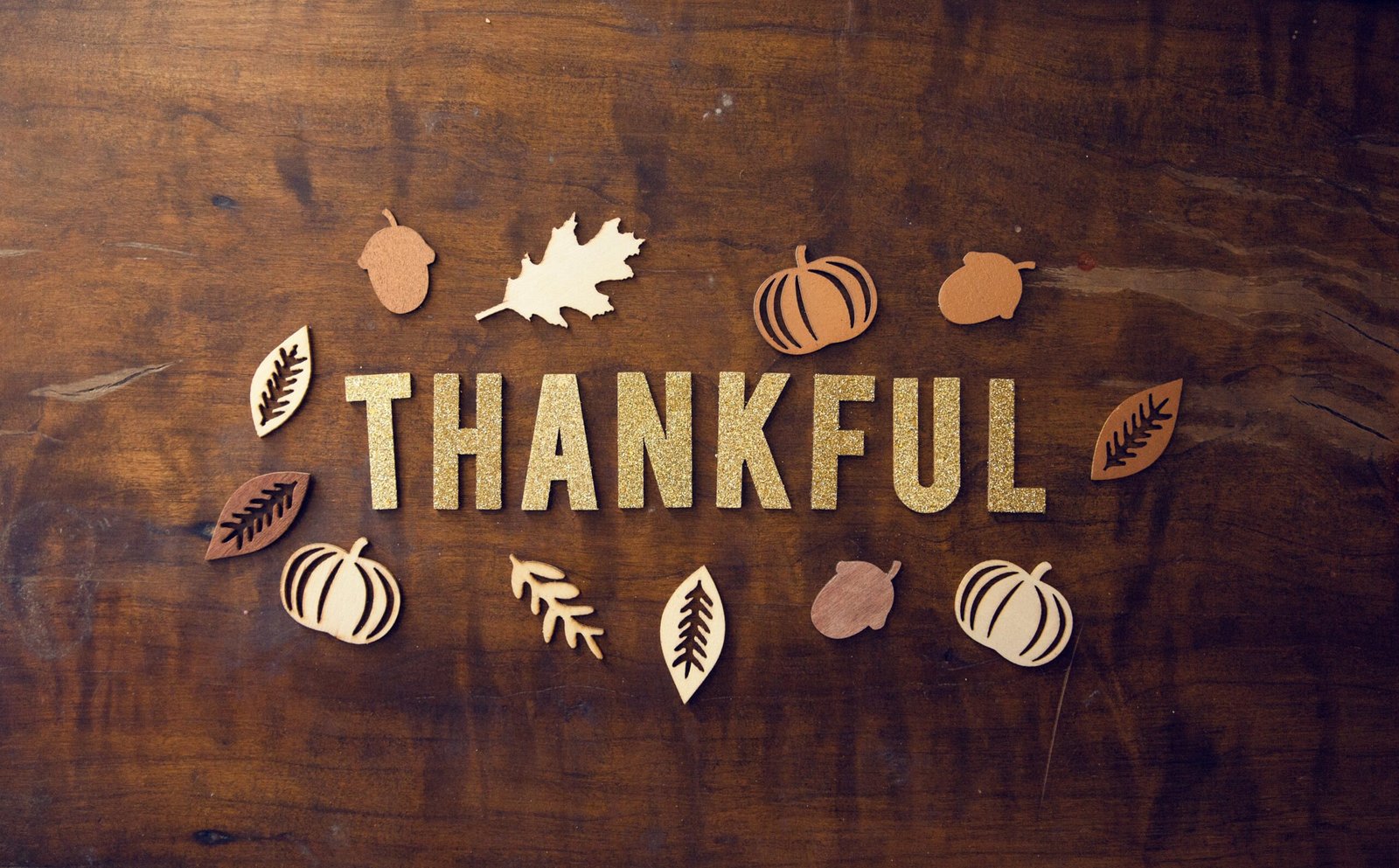 Finding Thankfulness in Imperfect Seasons