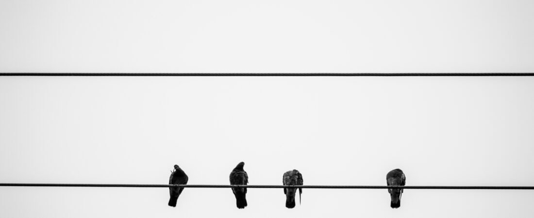 How to Build Resilience After Loss