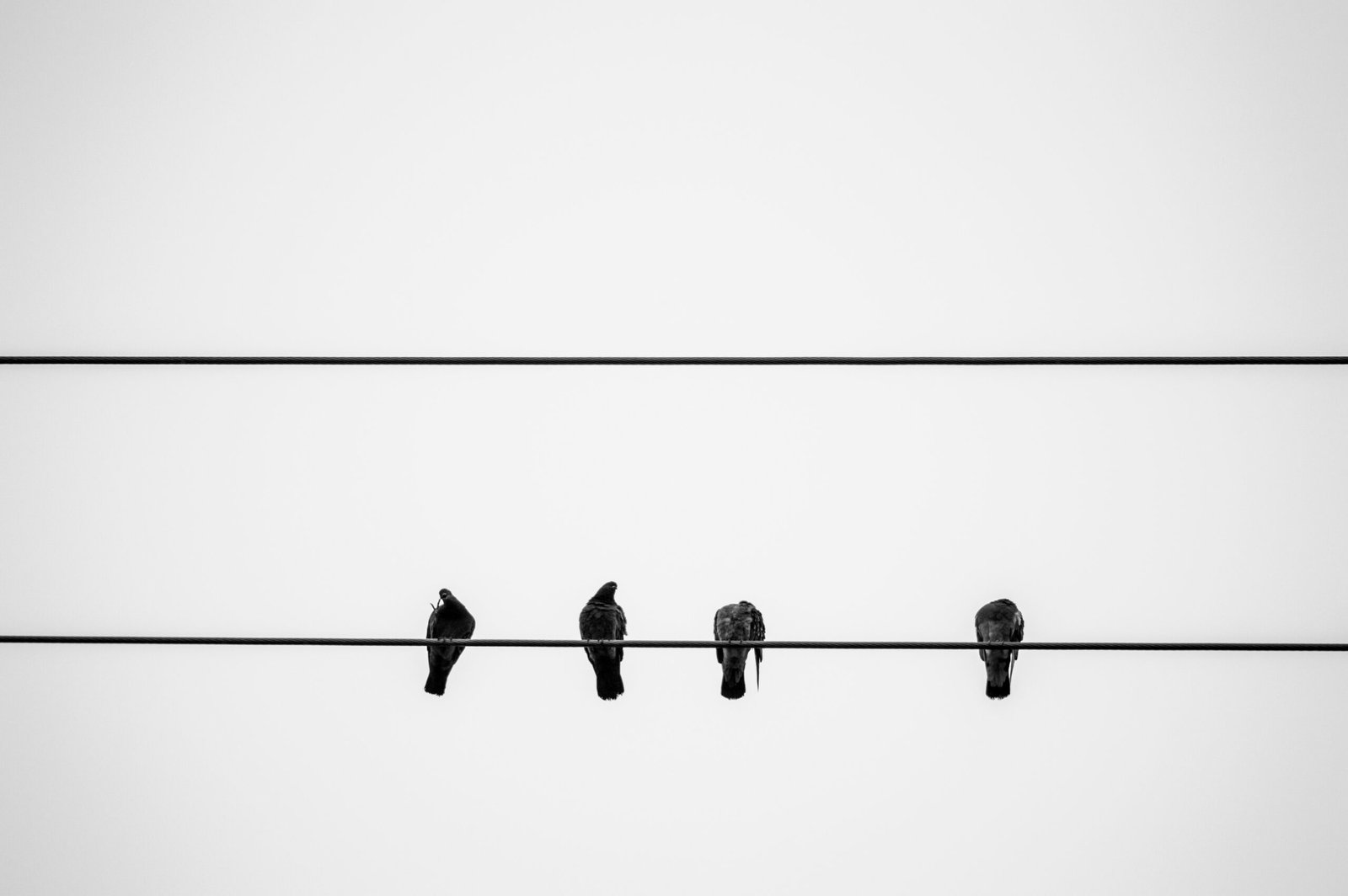 How to Build Resilience After Loss