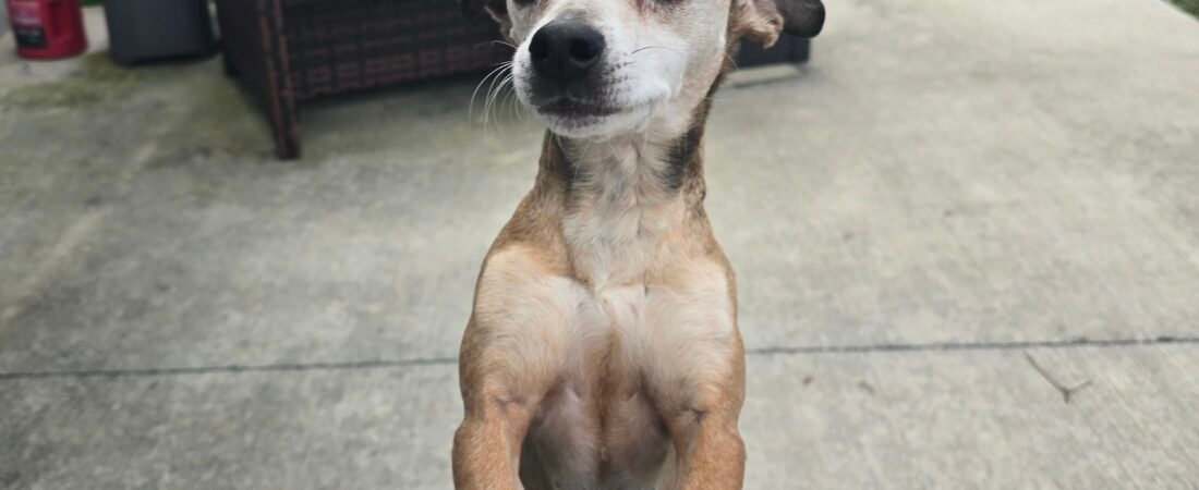 When Goodbye Comes Without Warning