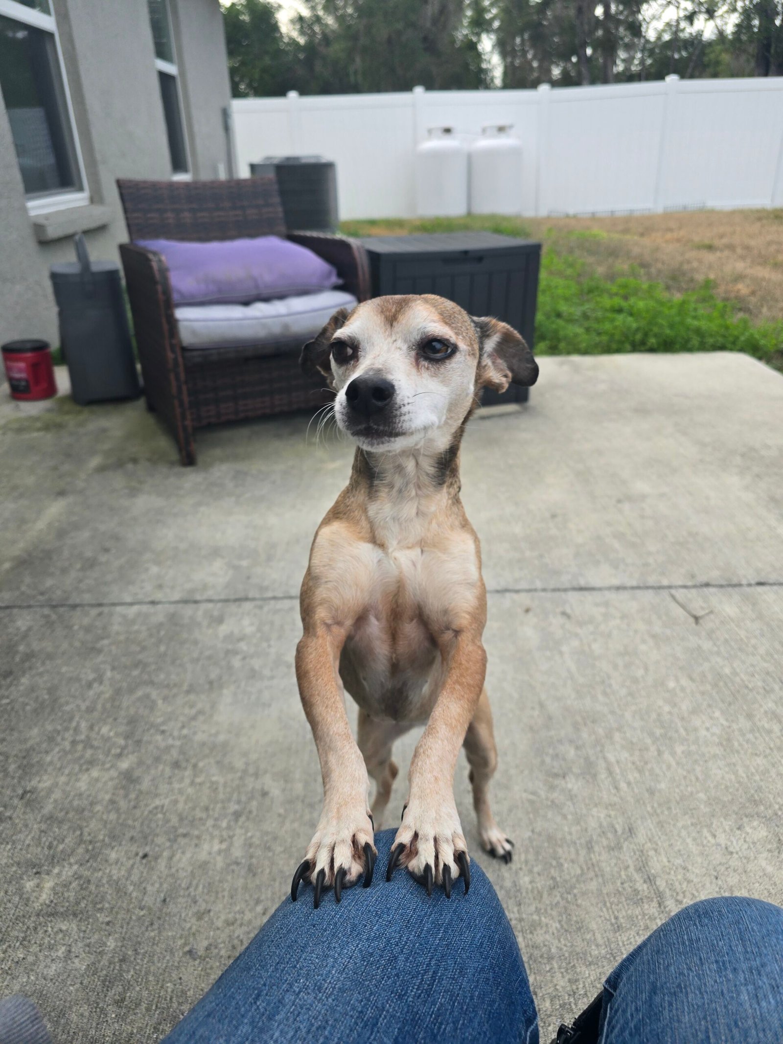 When Goodbye Comes Without Warning 